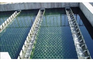 【干貨】生物濾池為什么一受沖擊氨氮去除率就會下降？