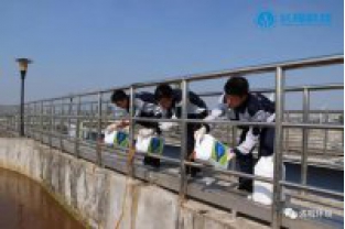 碳氮比失調(diào)，總氮超標怎么辦