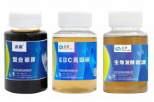 在設(shè)計(jì)污水處理系統(tǒng)時(shí)，如何評估碳源負(fù)荷？